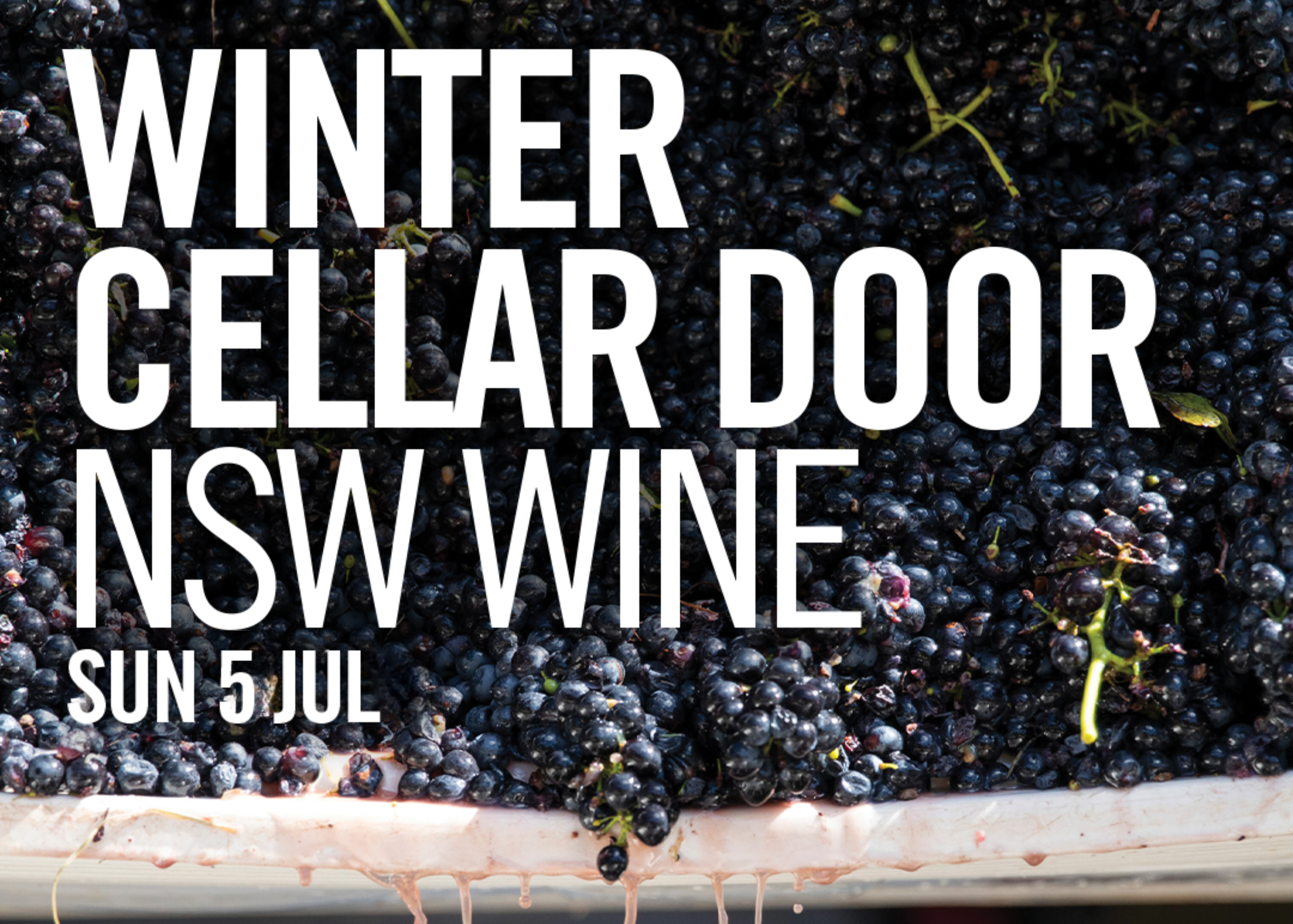 Promotional poster for a winter cellar door event featuring NSW wine, with grapes and Carriageworks branding.
