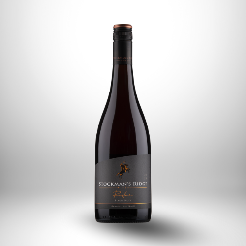 Rider Pinot Noir 2024