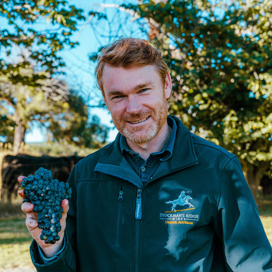 FREE - Vineyard Walk with Jonno