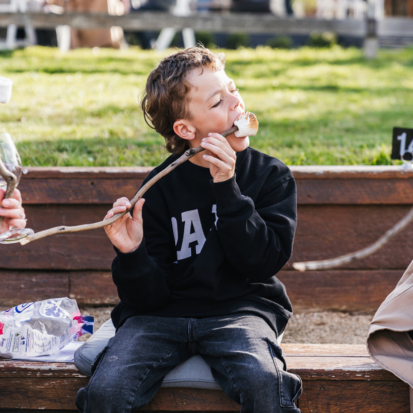 The Great Canadian S'mores Experience