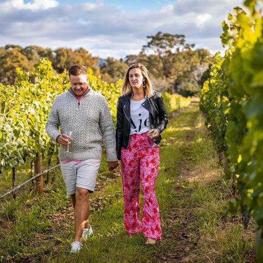 Pinot Noir Experience - Stockman's Ridge Wines