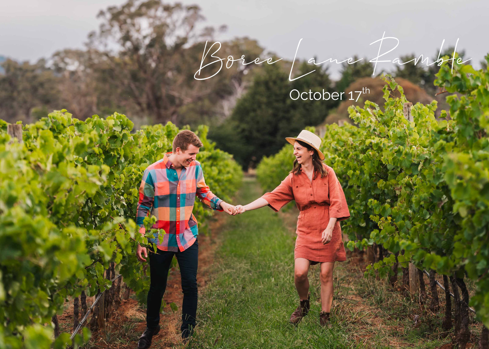 A couple holding hands walking through a vineyard on a cloudy day. The man wears a colorful plaid shirt, and the woman wears a rust-colored dress and a straw hat.