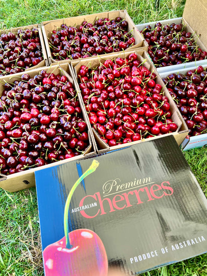 Cherry Picking in Orange 2025